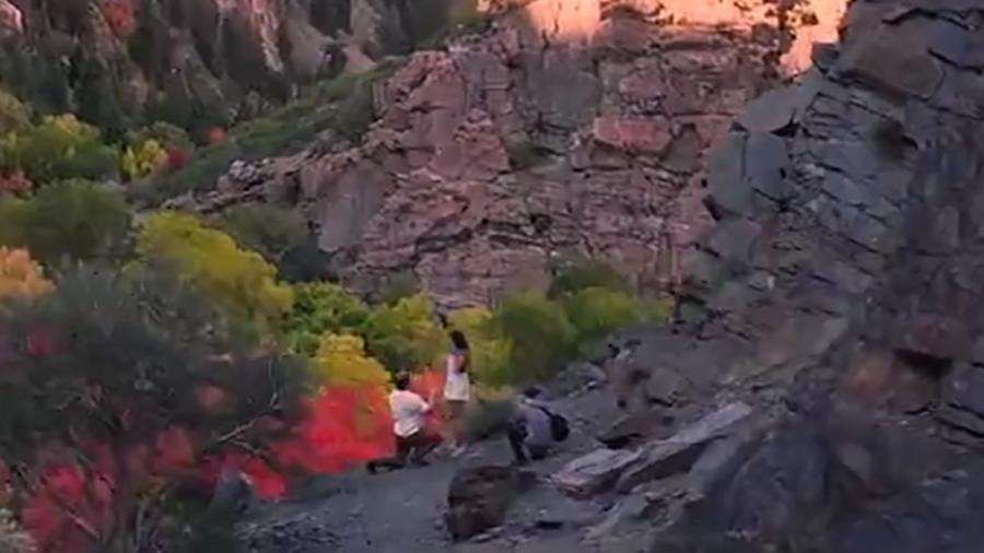 A photographer visiting Utah to capture shots of the fall foliage is looking for a couple whose proposal he happened to catch on camera.