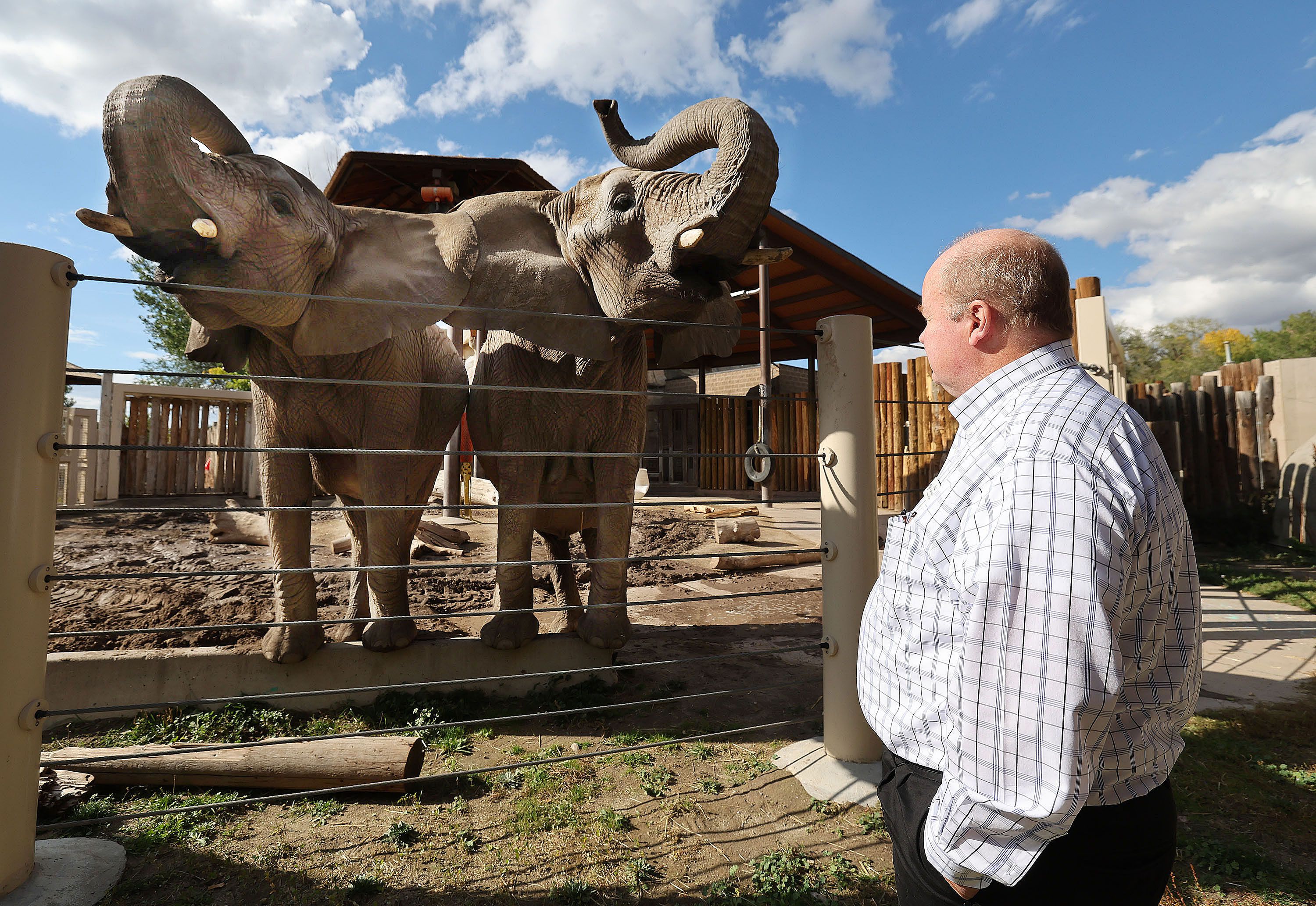 Hogle Zoo President Doug Lund looks over elephant mother Christie and daughter Zuri at the zoo in Salt Lake City on Oct. 13. The elephants were relocated to the Kansas City Zoo & Aquarium.