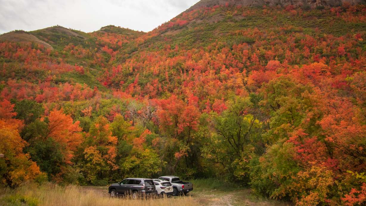 Vehicles parked at a picnic site at City Creek Canyon in Salt Lake City on Sept. 30. Beginning Nov. 1, the canyon will be closed except for weekends and holidays for a project to repair the water treatment plant a few miles up the mouth of the canyon.