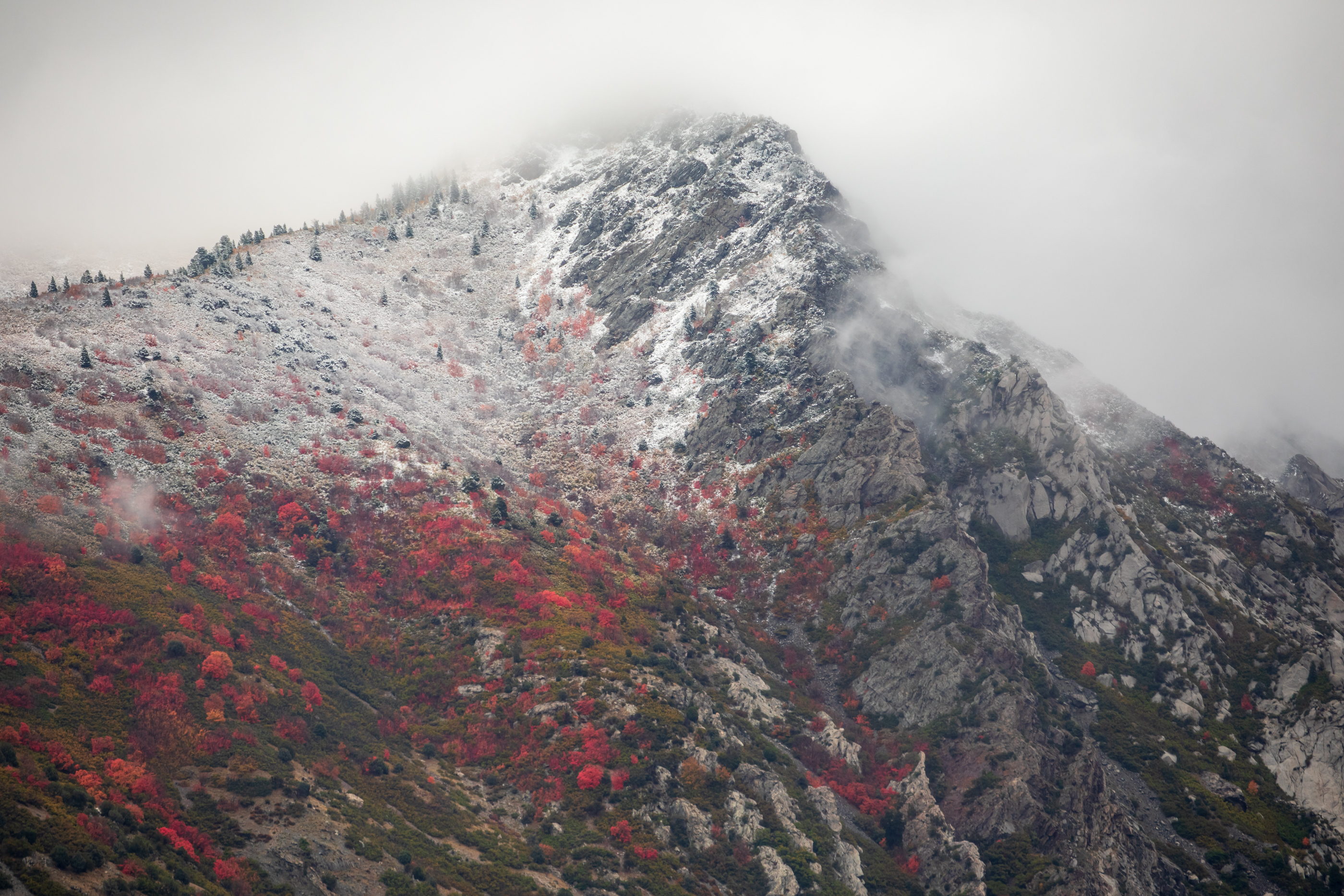 Snow falls near the mouth of Little Cottonwood Canyon Oct. 12. A winter weather advisory was issued Thursday for the area, ahead a storm that could bring another foot of snow to higher parts of the canyon.