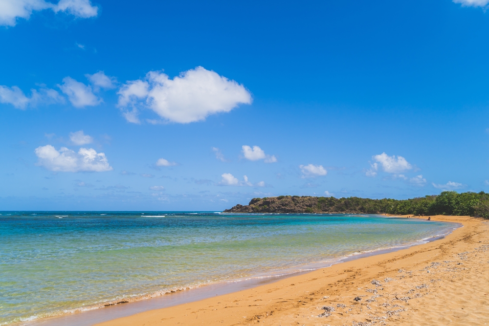 A Utah man was found dead off the coast of northeastern Puerto Rico on Friday. Coast Guard officials say he was last seen Thursday by his wife while they were paddling out from Playa Escondida.