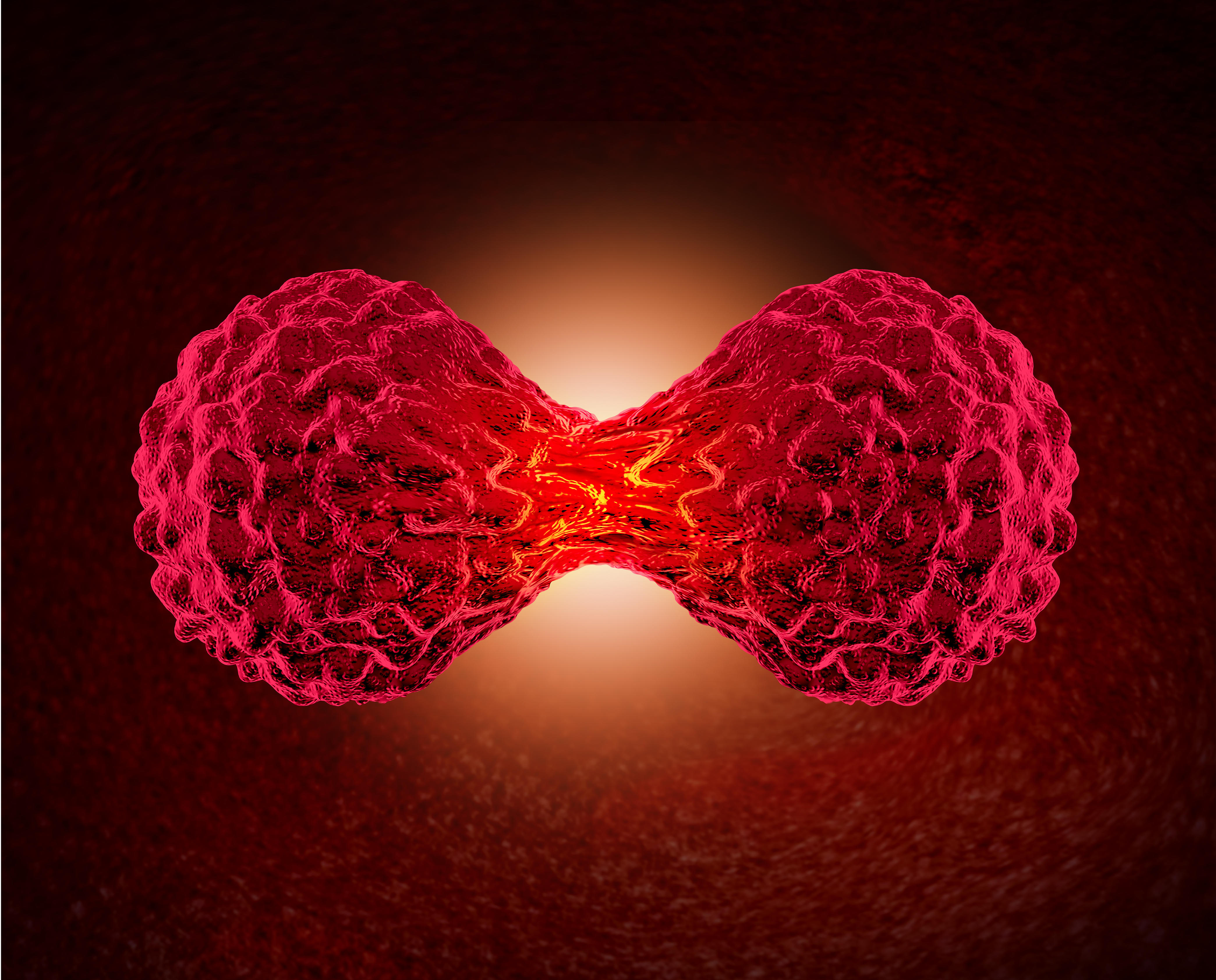 Researchers have found the closest thing to an off-switch for cancer: a specific protein section that has the ability to trigger the death of a cancer cell.