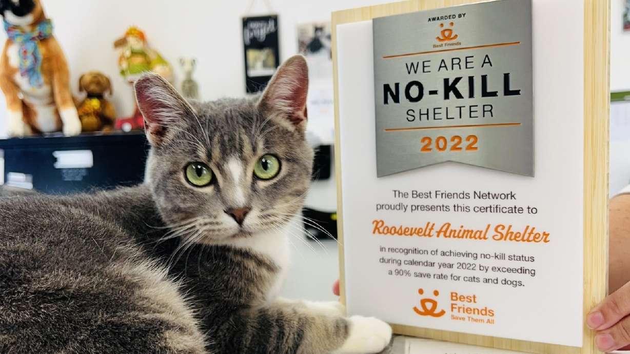 The Roosevelt animal shelter was recently awarded a no-kill shelter plaque by Best Friends Animal Society for the work the shelter has done over 2022 and 2023 to prevent animals in the shelter from being euthanized.