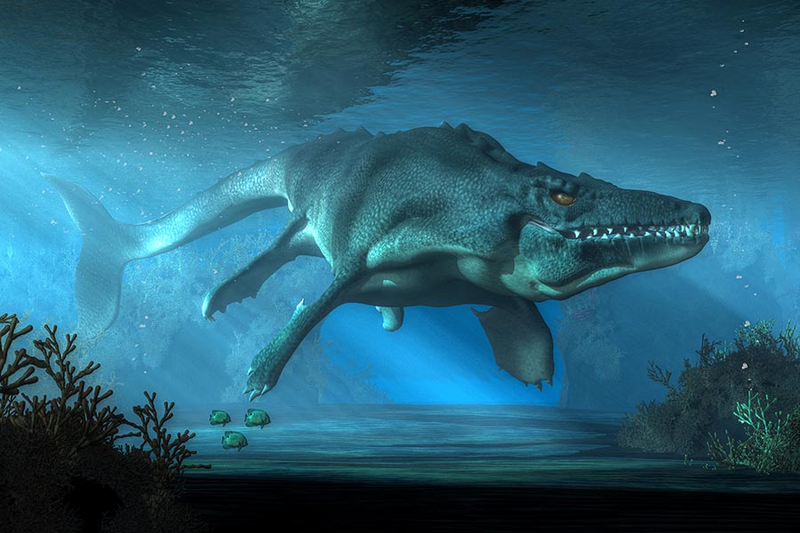 This is a 3D rendering of a mosasaur, a marine reptile that went extinct about 66 million years ago.