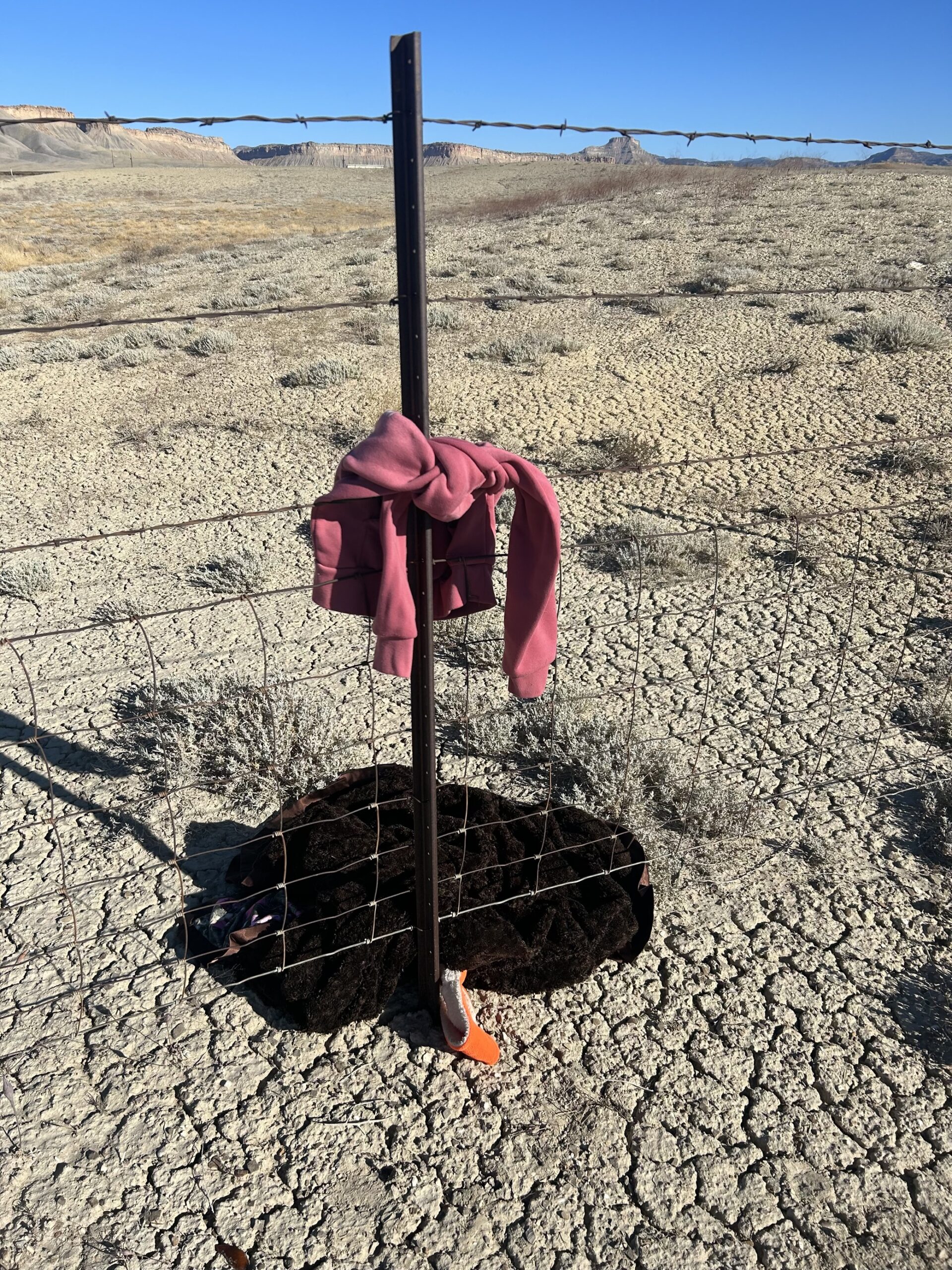 A Davis County family is desperate to find their dog after she ran away following a scary car accident Sunday.