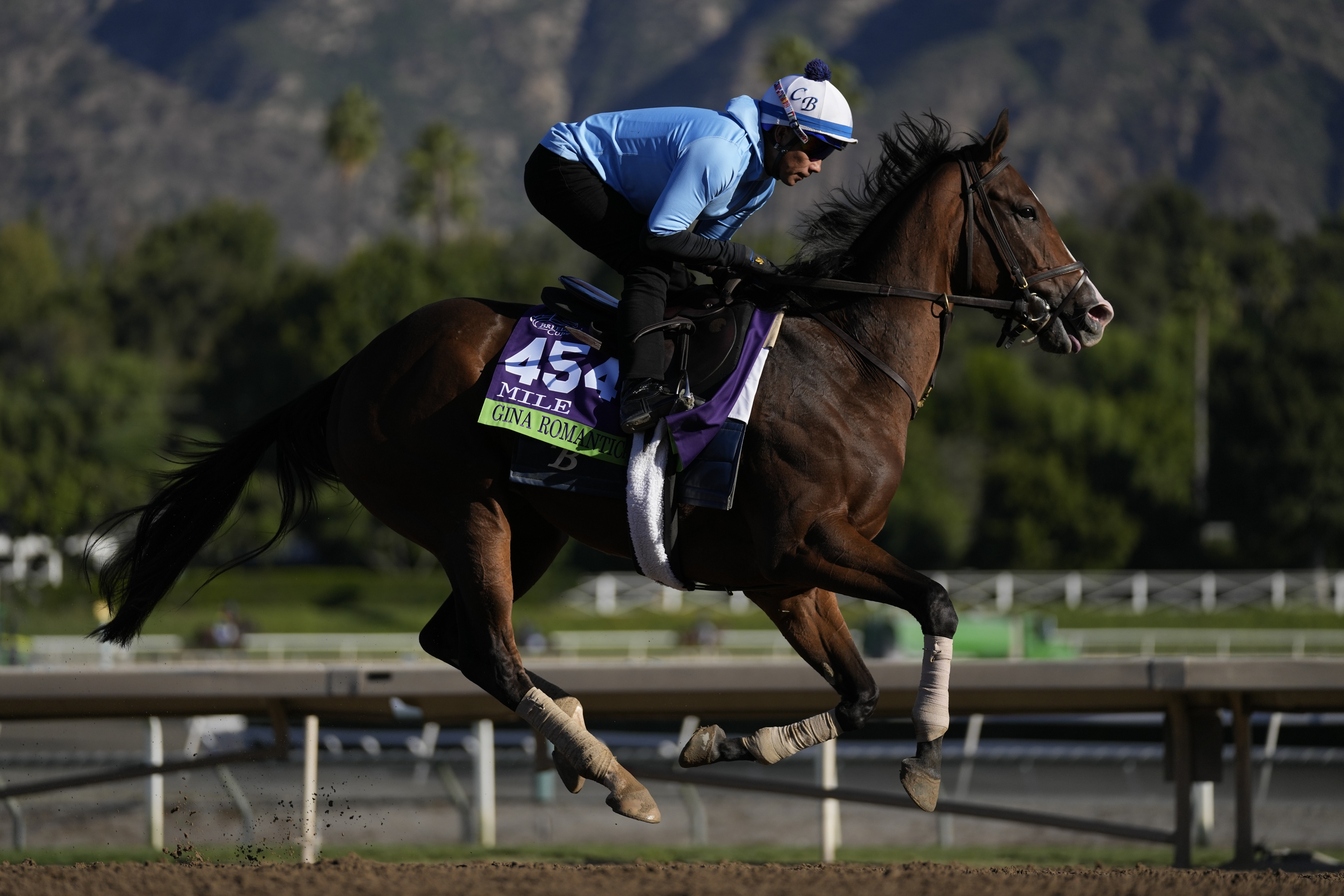 Gina Romantic works out ahead of the Breeders' Cup horse race Wednesday, Nov. 1, 2023, in Arcadia, Calif. 