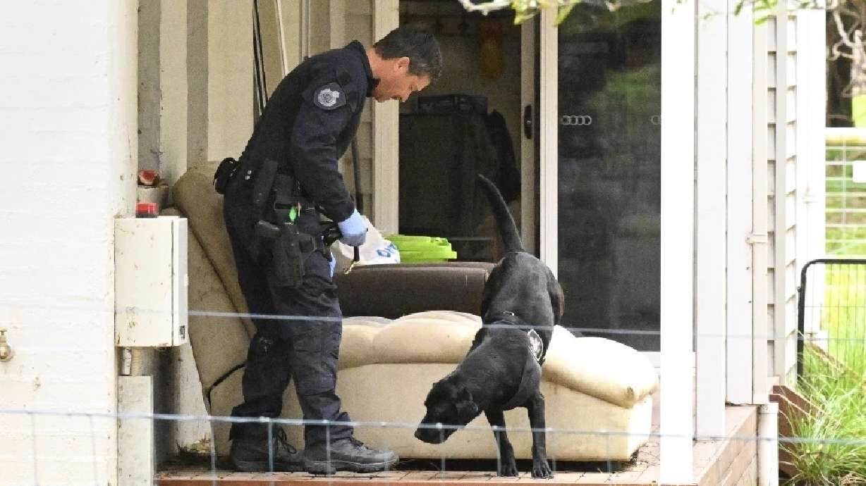 A police officer and dog investigate at the property of Erin Patterson in Leongatha, Australia, Thursday. Australian police have on Thursday arrested Patterson in an investigation of a suspected mushroom poisoning incident.