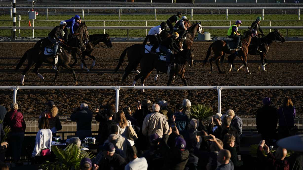 Horses enter the track during a morning workout session ahead of the Breeders' Cup horse races Thursday, Nov. 2, 2023, in Arcadia, Calif.