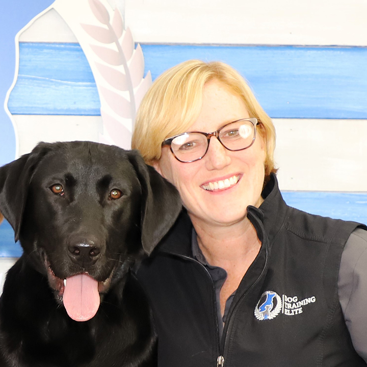 'I'm much happier. I'm more like myself': How service dogs can help Utah veterans