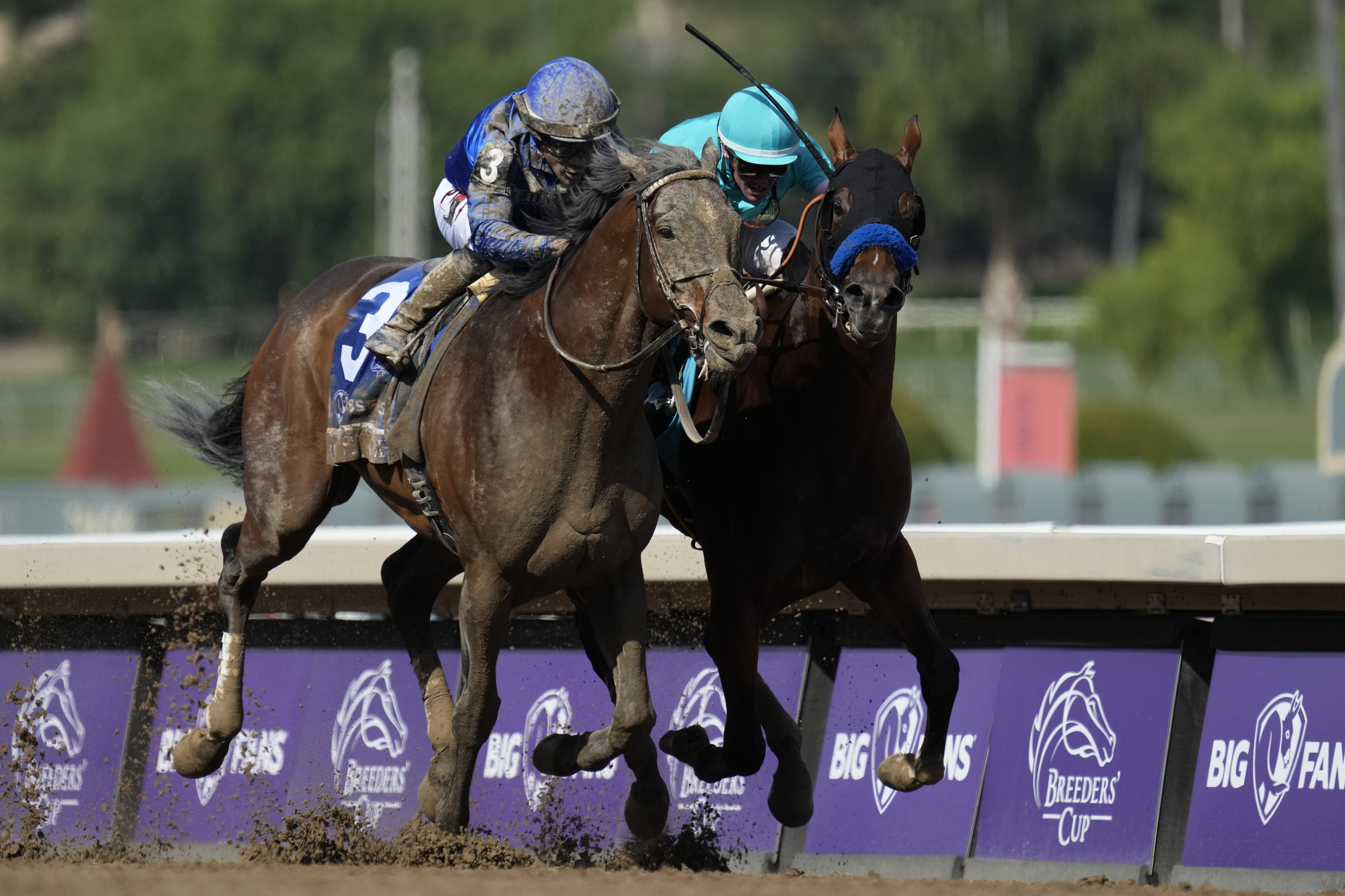 Junior Alvarado rides Cody's Wish, left, as he leads Flavien Prat riding National Treasure to win the Breeders' Cup Dirt Mile horse race Saturday, Nov. 4, 2023, at Santa Anita Park in Arcadia, Calif. 