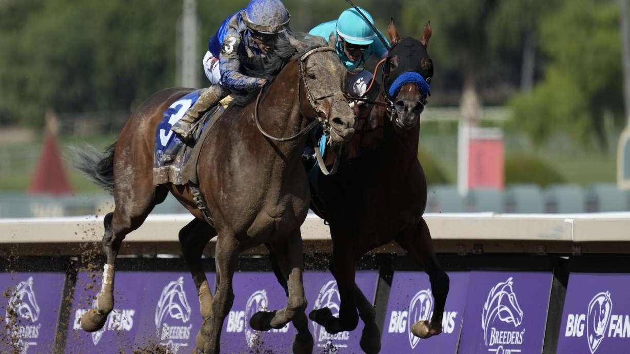 Junior Alvarado rides Cody's Wish, left, as he leads Flavien Prat riding National Treasure to win the Breeders' Cup Dirt Mile horse race Saturday, Nov. 4, 2023, at Santa Anita Park in Arcadia, Calif.