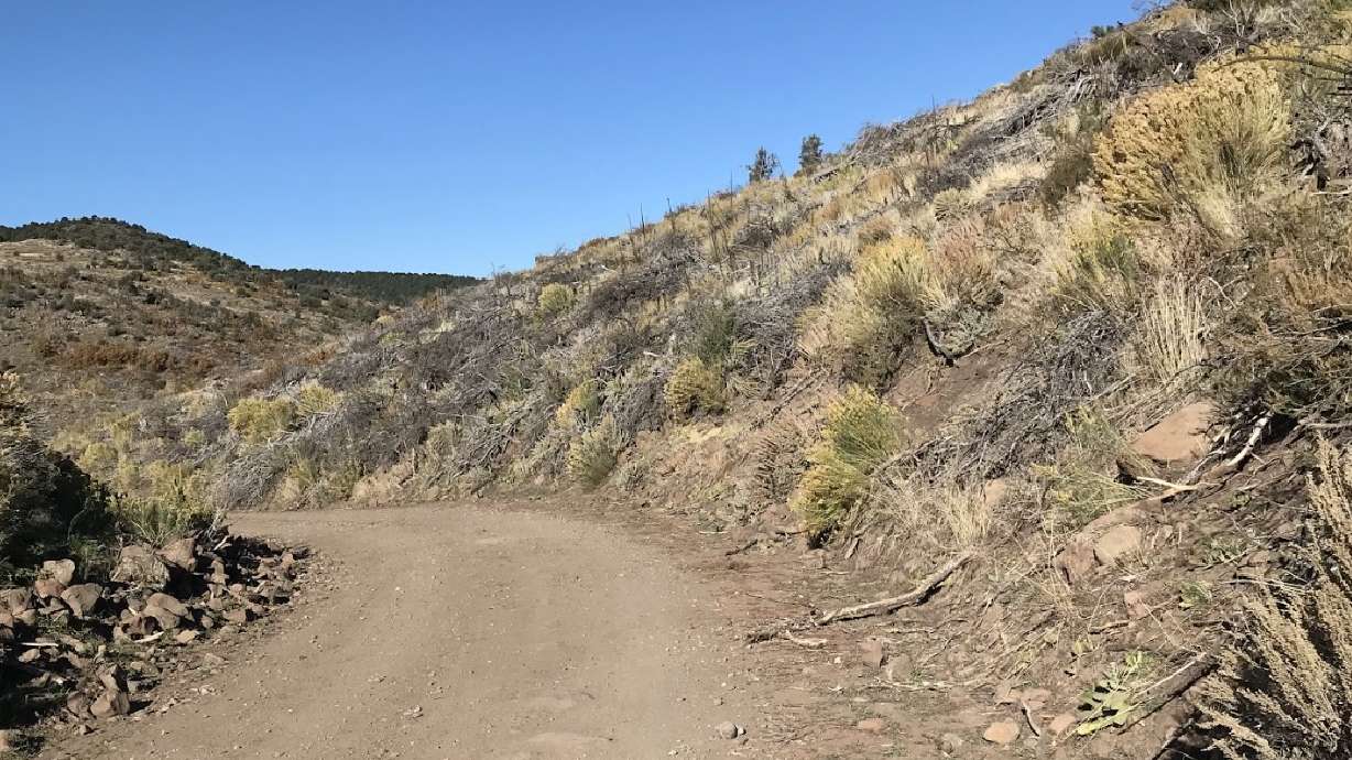 An undated image of the area near Beaver where two people reported seeing a man illegally shoot a buck deer and strike it in the head with a boulder on Oct. 14, Utah Division of Wildlife Resources officials said Monday.