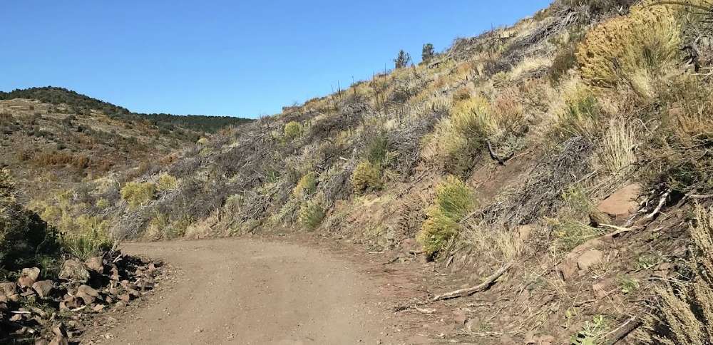 Utah wildlife officials seek hunter who reportedly shot deer, struck it with boulder