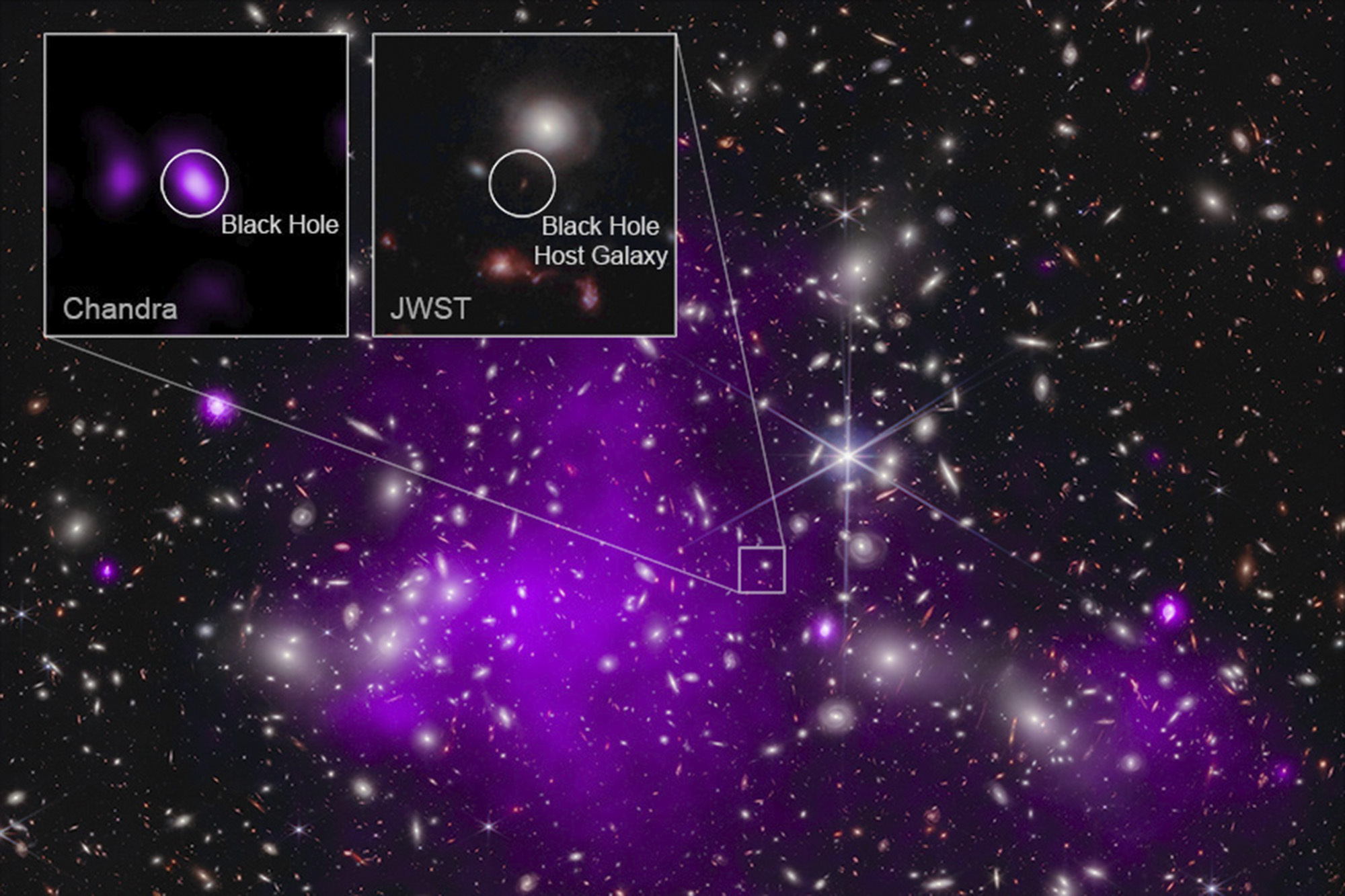 This annotated image shows a composite view of data from NASA’s Chandra X-ray Observatory and James Webb Space Telescope indicating a growing black hole just 470 million years after the big bang. It is the oldest black hole yet discovered.