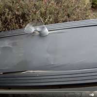 Have You Seen This? Slinky travels on its own for minutes on tilted treadmill