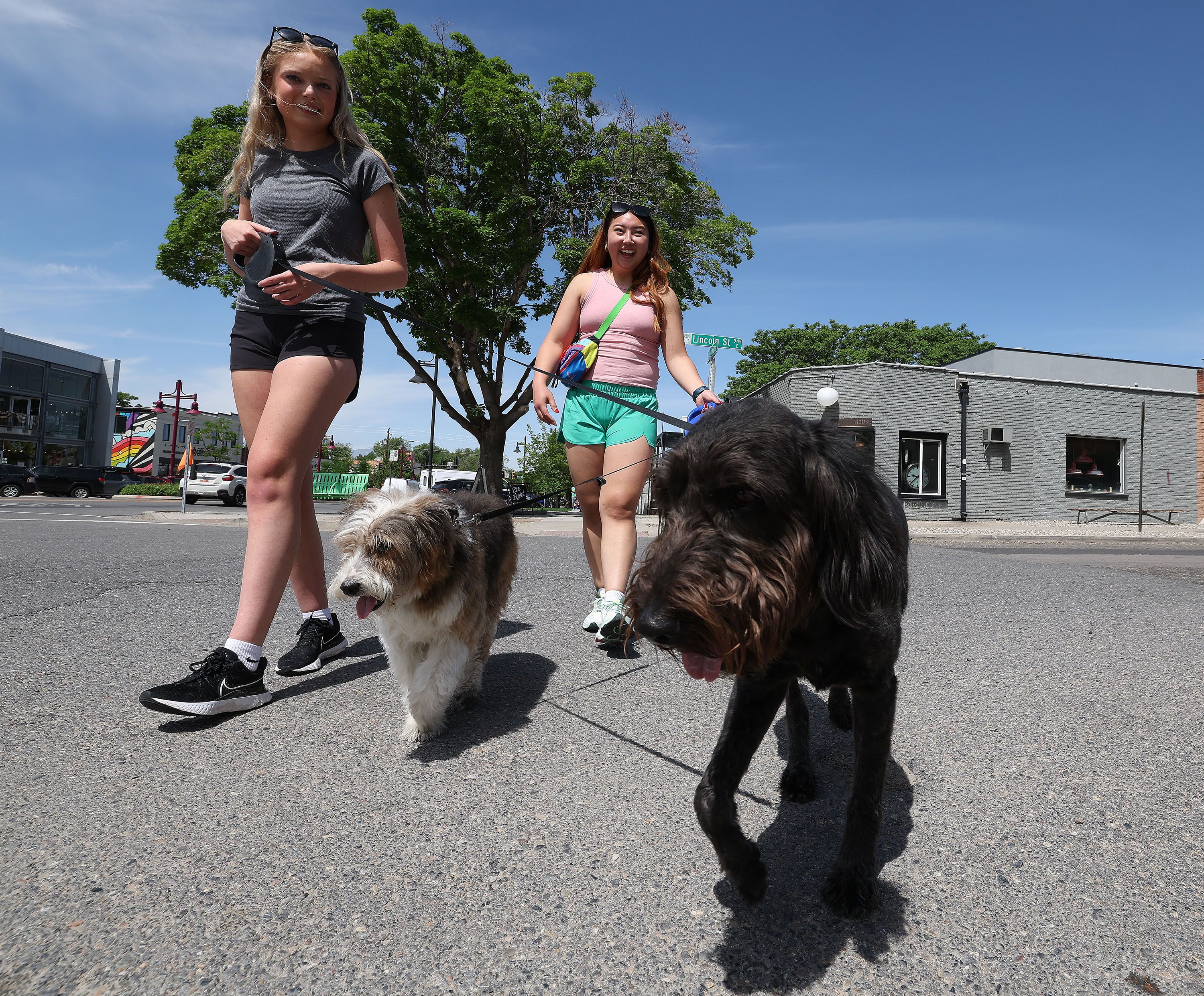 Sydney Gillies and Jo Jo Pack walk their dogs in the 9th and 9th area of Salt Lake City on May 31. Do Utahns draw high marks as dog owners?