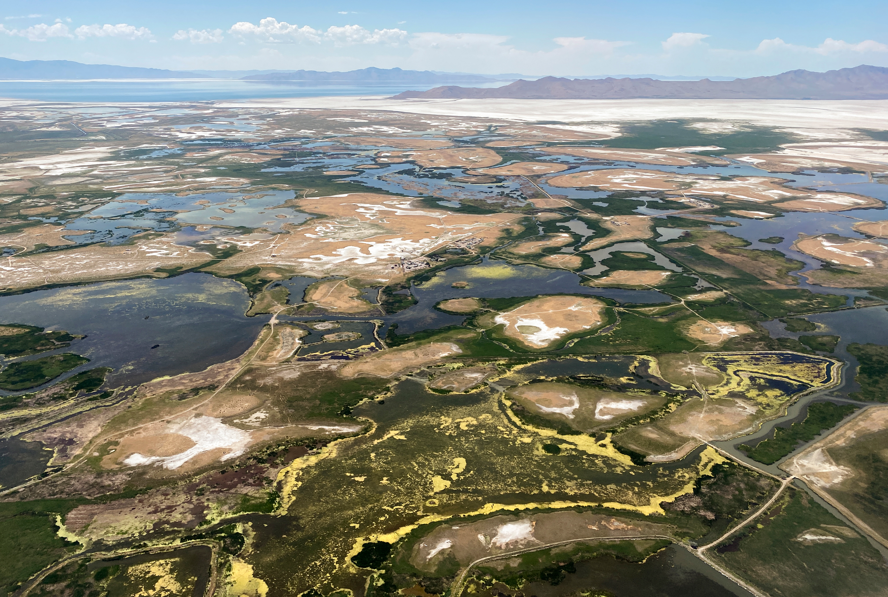 Wetlands to the south and east of Antelope Island on July 2. The Utah Inland Port Authority's board of directors approved a new policy Monday that it says will help mitigate impacts to wetlands in project areas, but critics say it doesn't do enough.