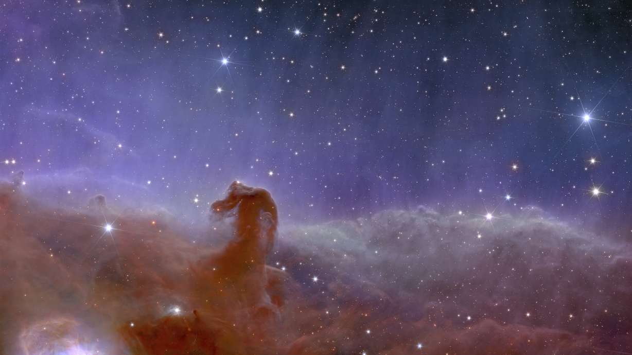 This image shows space telescope Euclid’s panoramic view of the Horsehead Nebula. The European Space Agency released Euclid’s first photos Tuesday.