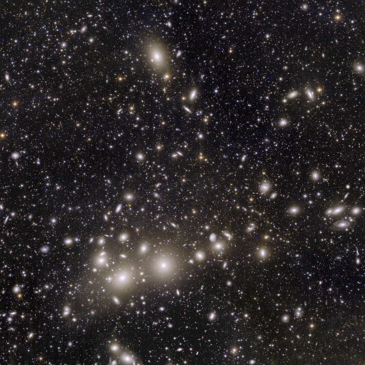 This image shows Euclid’s view of 1,000 galaxies belonging to the Perseus Cluster. The European Space Agency released Euclid’s first photos Tuesday.