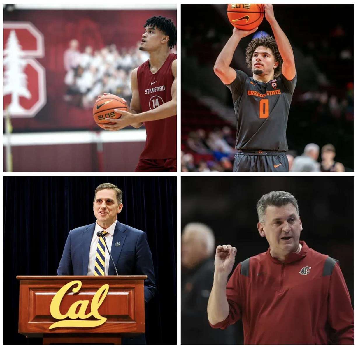 The official Pac-12 men's basketball crystal ball