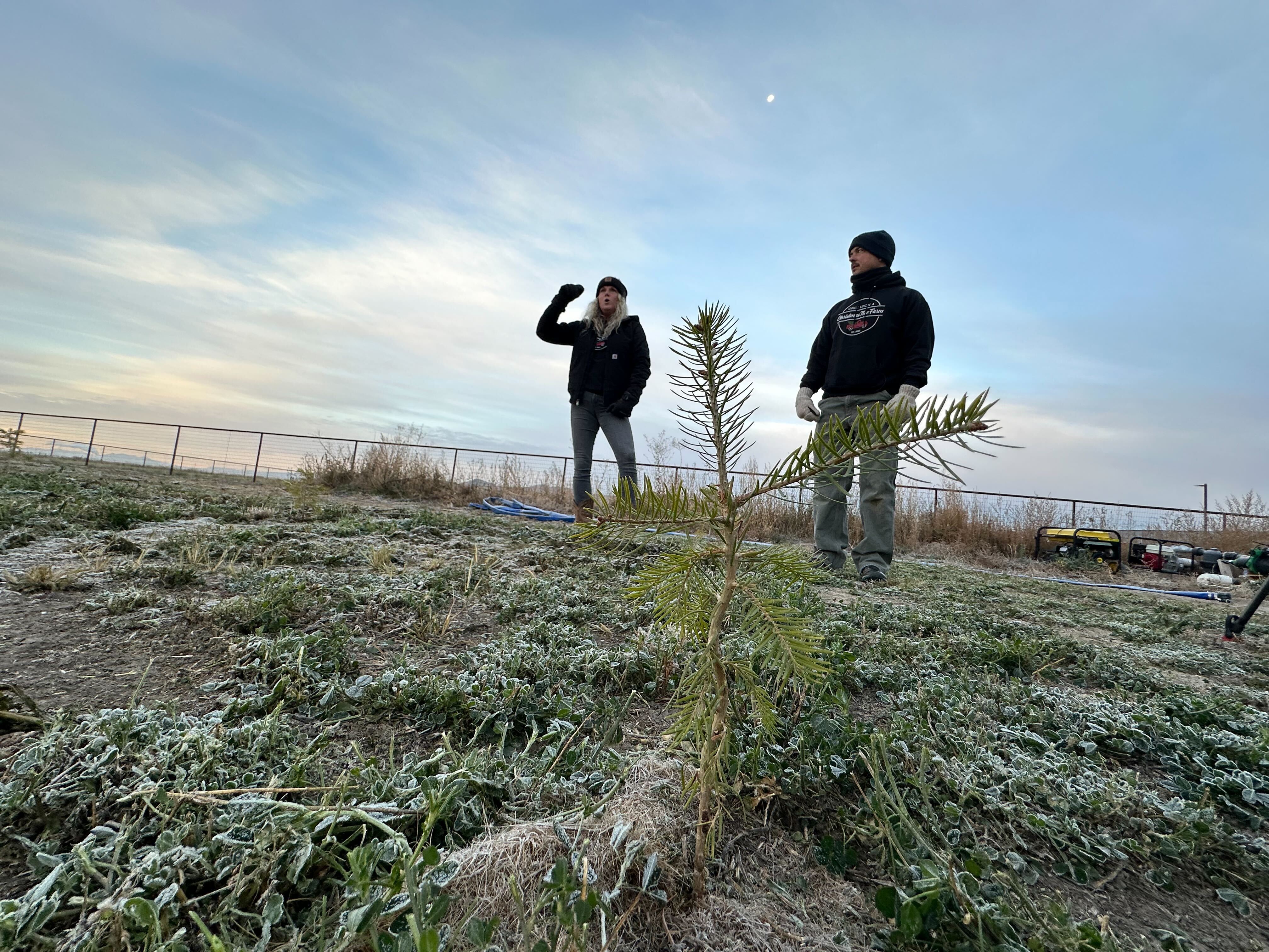 Jaemye Brandon, left, talks about converting an alfalfa farm to a Christmas tree farm
near Tremonton on Nov. 1.