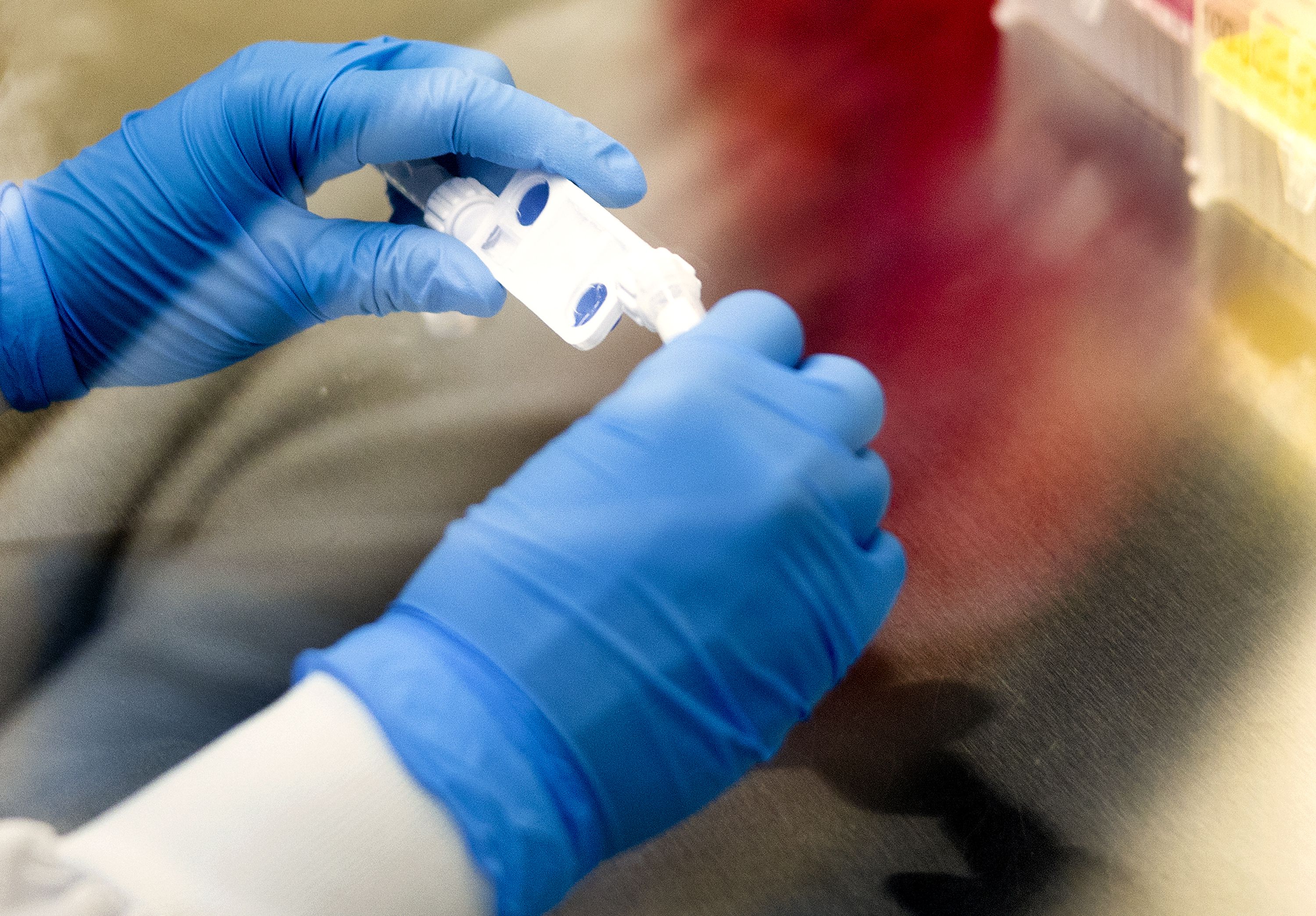 Research scientist Madi Pyper processes tissue samples at Seek Labs in Salt Lake City on Thursday.