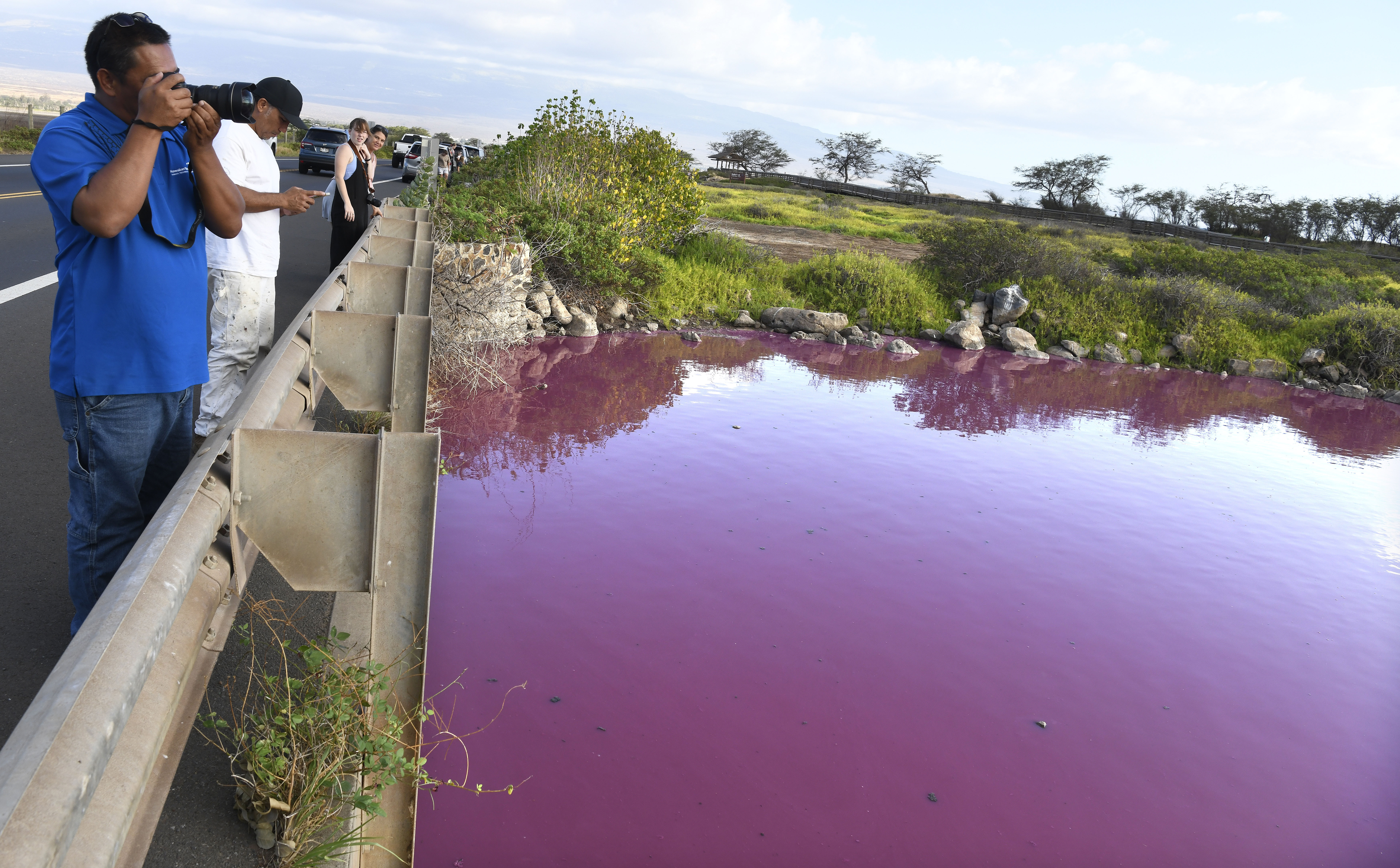 Severino Urubio of Hilo, Hawaii snaps photos of Kealia Pond's pink water at Kealia Pond National Wildlife Refuge in Kihei, Hawaii on Wednesday. Officials in Hawaii are investigating why the pond turned pink, but there are some indications that drought may be to blame.