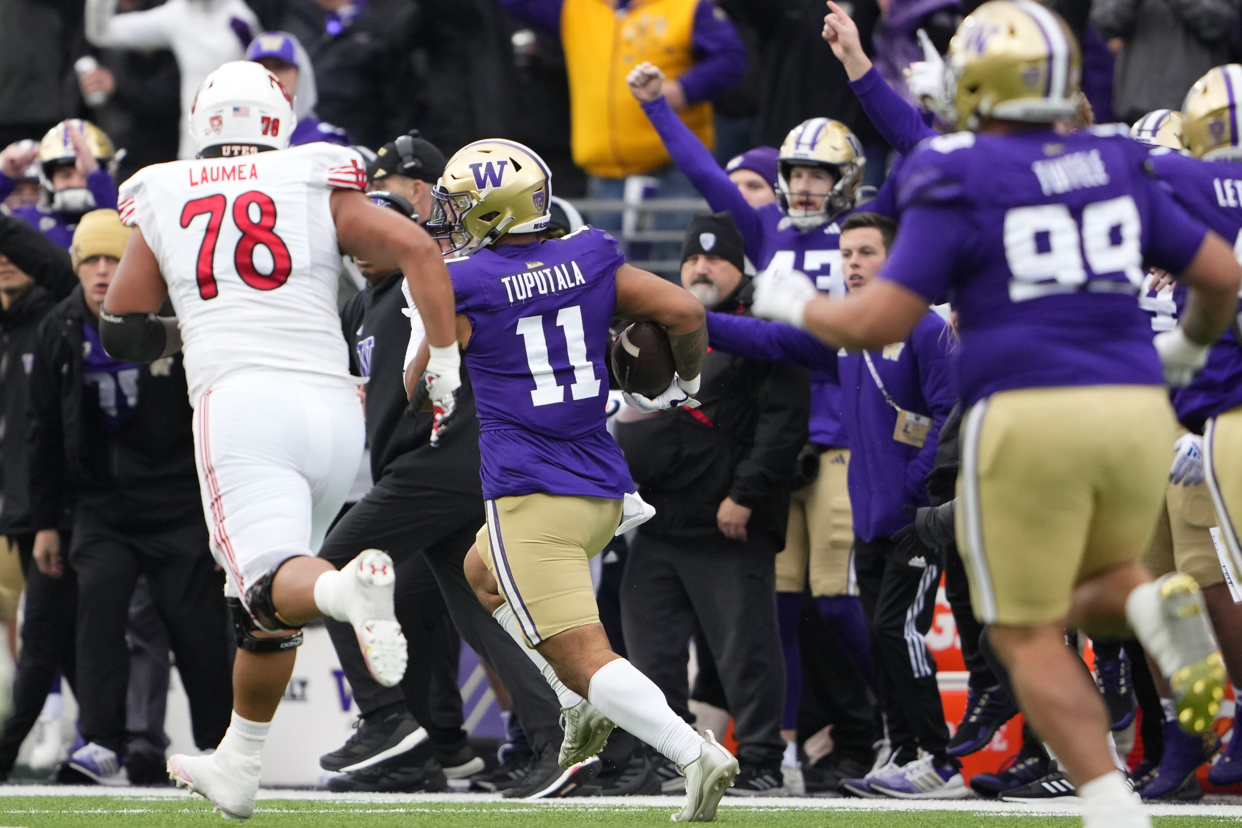 Washington linebacker Alphonzo Tuputala (11) runs an interception back to the goal line while pursued by Utah offensive lineman Sataoa Laumea (78) but fumbled by celebrating early during the second half of an NCAA college football game Saturday, Nov. 11, 2023, in Seattle.
