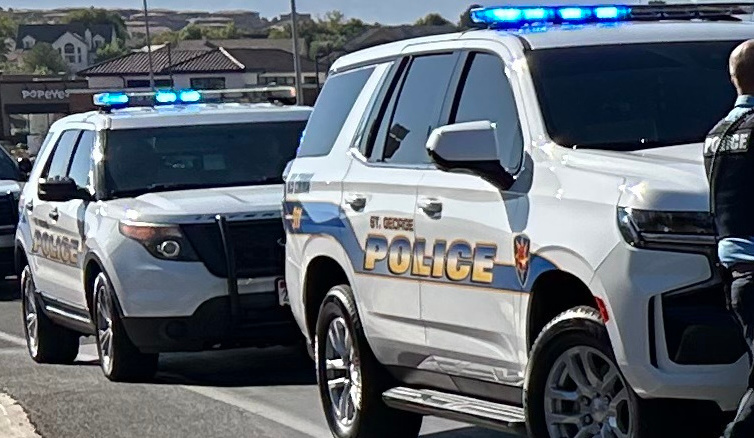 Four people are in custody in Washington County following an alleged wallet-snatching incident, Washington police said.