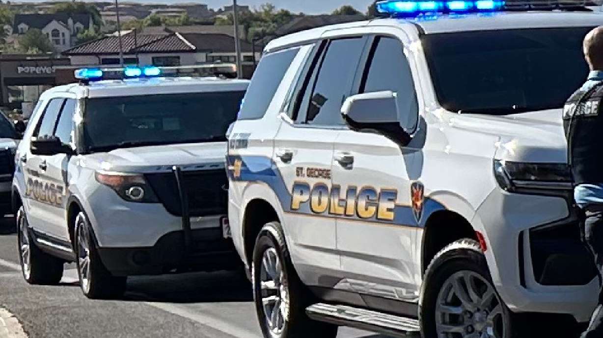 Four people are in custody in Washington County following an alleged wallet-snatching incident, Washington police said.