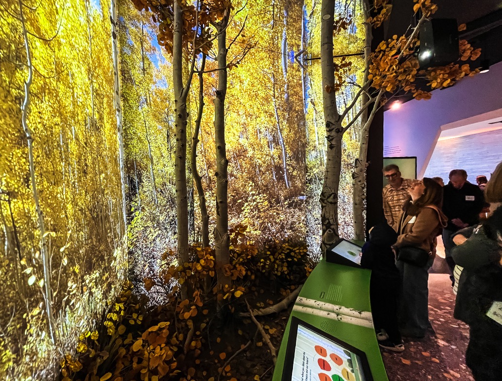 People view a large-scale replica of Utah's aspen trees within the Natural History Museum of Utah's new "A Climate of Hope" exhibit on Saturday. It's the museum's first permanent exhibit in over a decade.