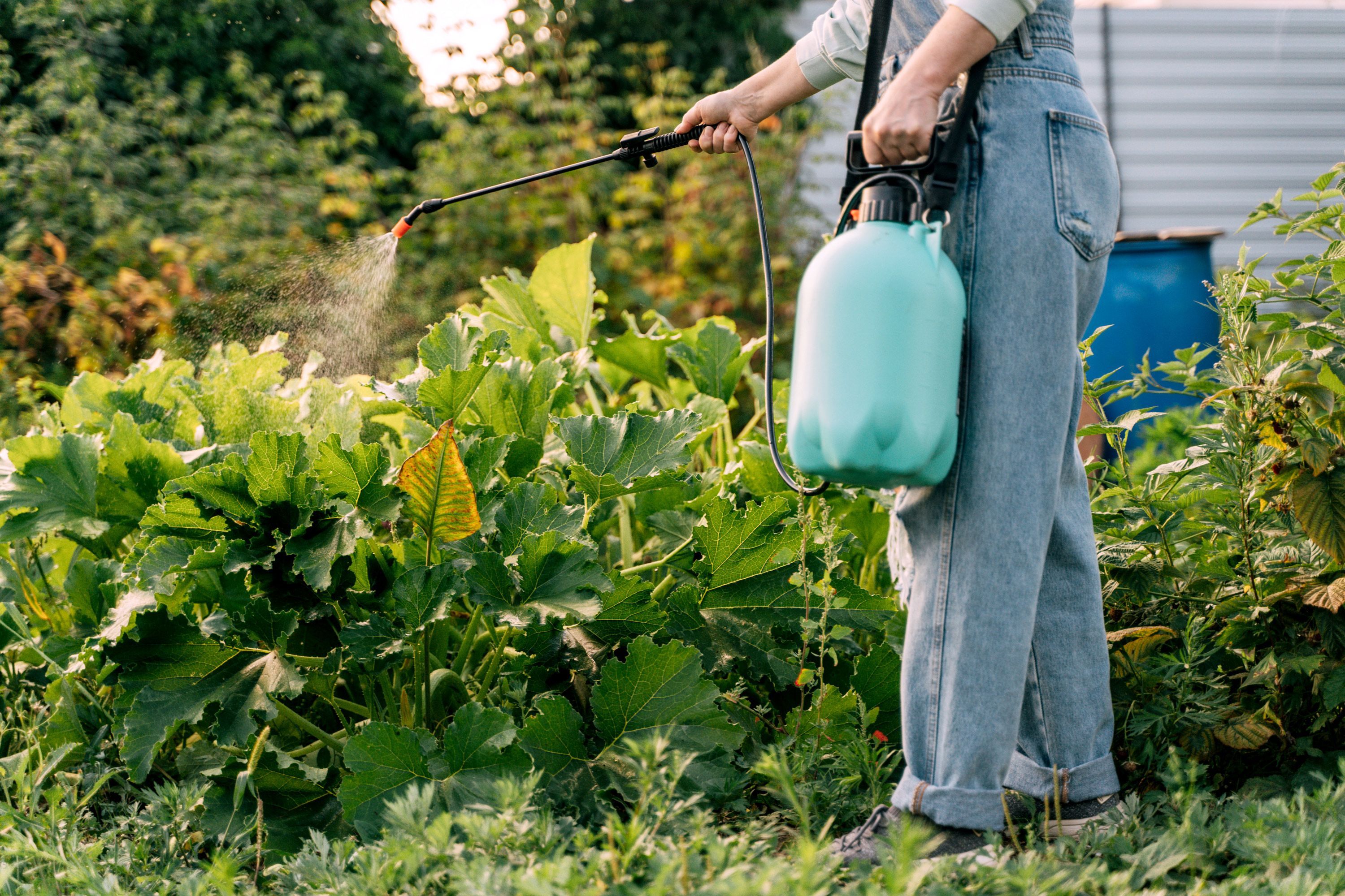 Be aware of your pesticide exposure around the house and in the food you eat, experts suggest.