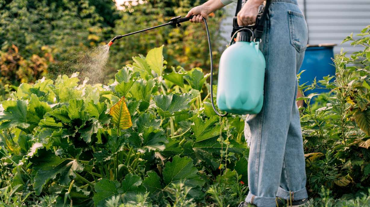 Be aware of your pesticide exposure around the house and in the food you eat, experts suggest.