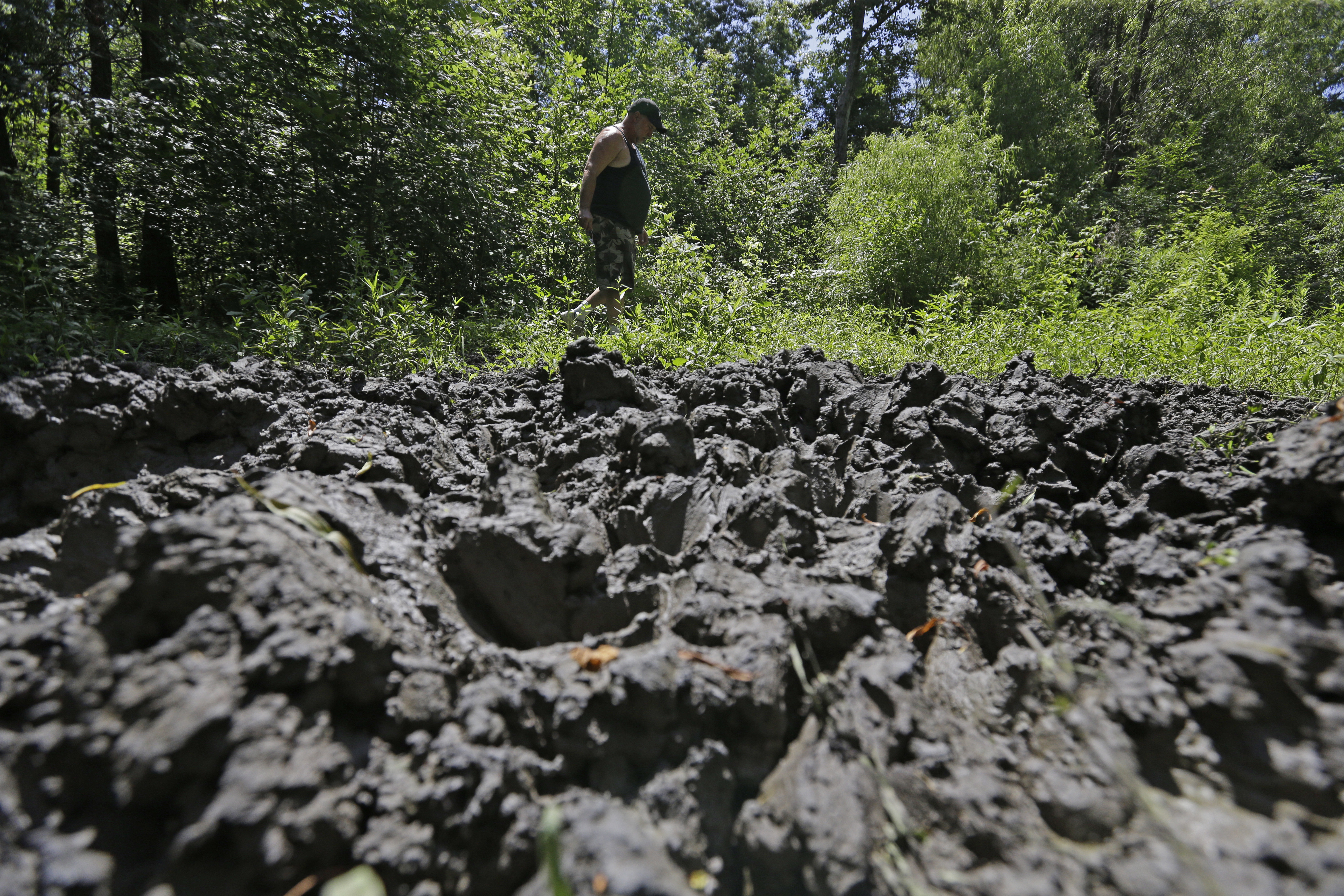 A wildlife trapper walks past damage from feral hogs that happened overnight while foraging near one of his traps in New Orleans on June 17, 2014.