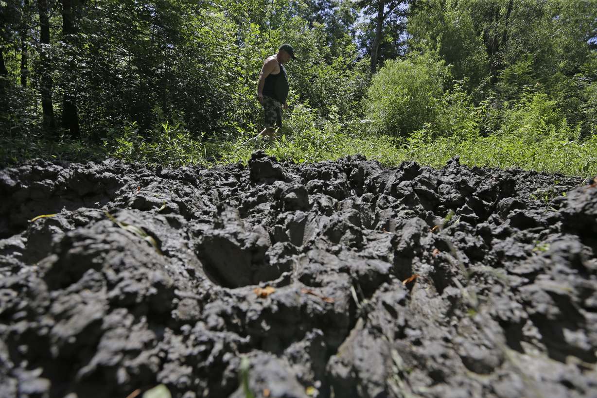 A wildlife trapper walks past damage from feral hogs that happened overnight while foraging near one of his traps in New Orleans on June 17, 2014.