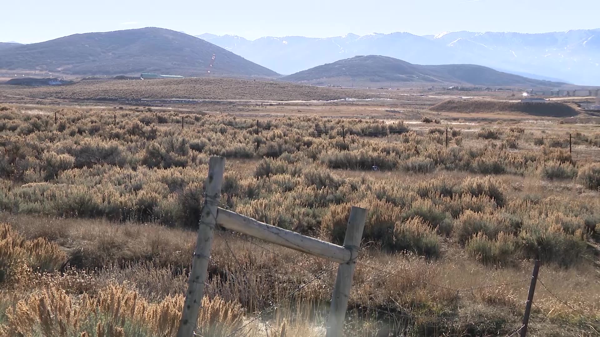 More than a dozen dead cows have been spotted along a popular trail in Park City.