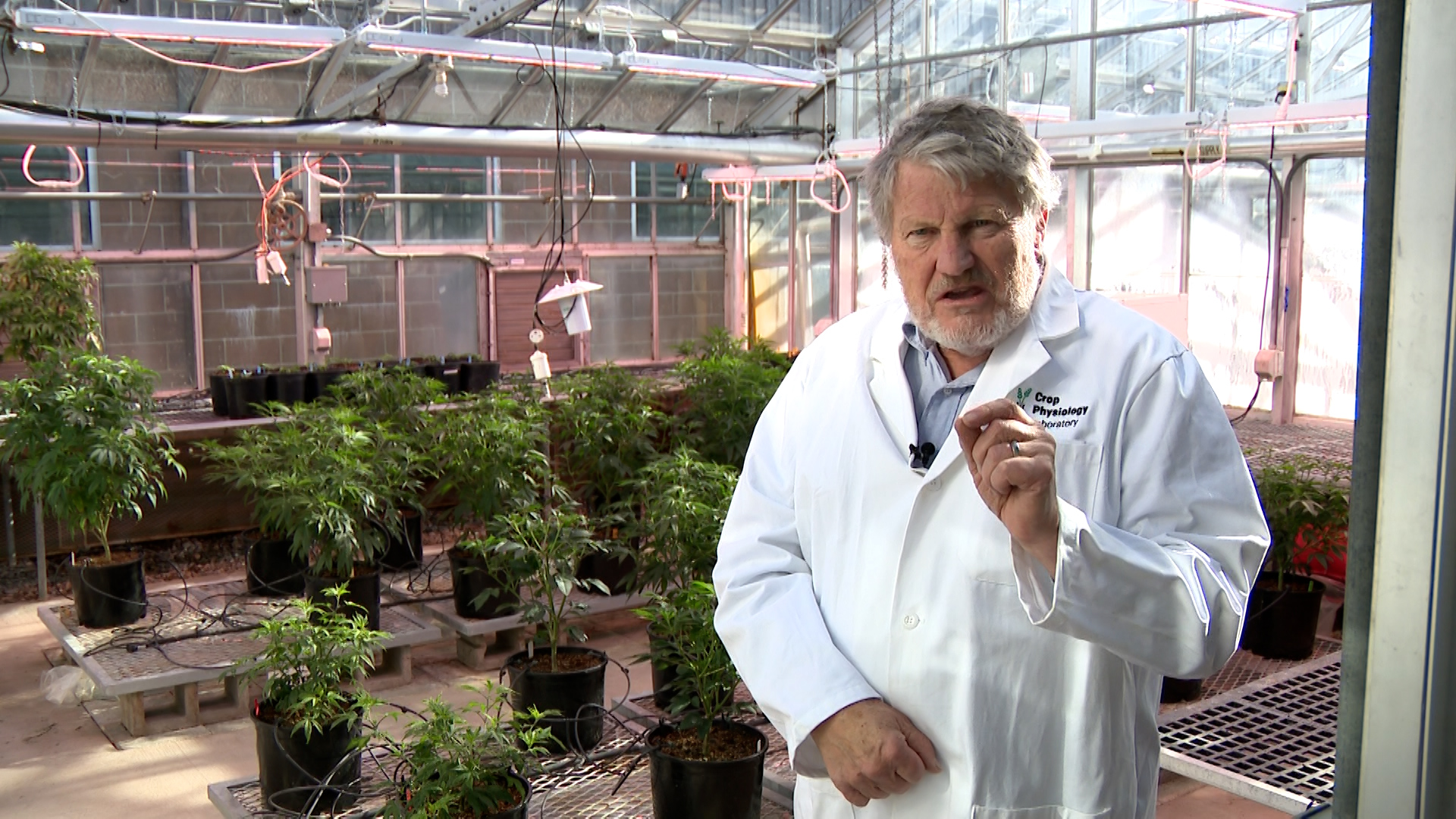 Dr. Bruce Bugbee speaks with KSL-TV about his operation at Utah State University to grow medical-grade cannabis for clinical trials recently funded by the state of Utah.