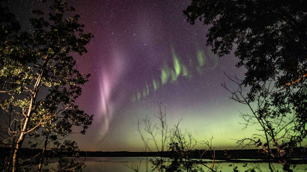 These are not the northern lights.  This is Steve These are not the northern lights.  This is Steve