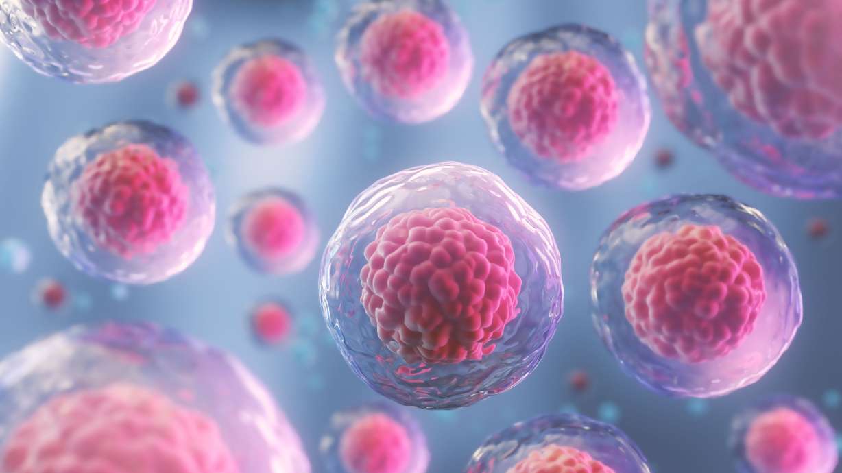 Researchers say a particular type of stem cell that helps form the spine secretes a protein that seems to attract cancer. The discovery could help in developing new orthopedic and cancer treatments.