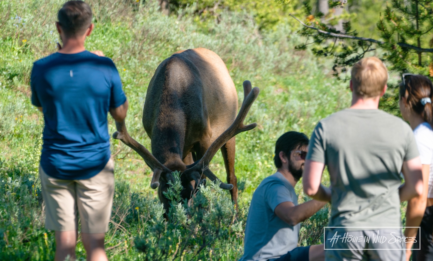 Video: How travel influencers might deceive and sabotage you