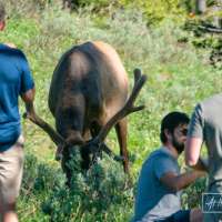 Video: How travel influencers might deceive and sabotage you