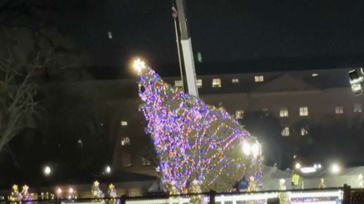 In this image made from video, the National Christmas Tree hangs from a crane in front of the White House as a crew works to lift it back up after it fell Tuesday amid high winter winds.