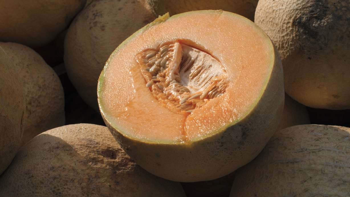 Eleven people in Utah are infected with salmonella that has been linked to a nationwide outbreak involving recalled cantaloupe.