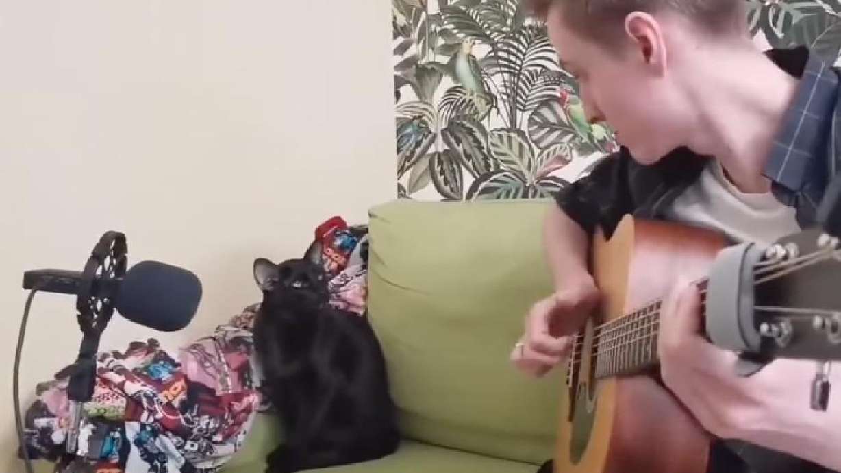 Bruce the cat sings the blues in this cheeky duet posted Nov. 12.