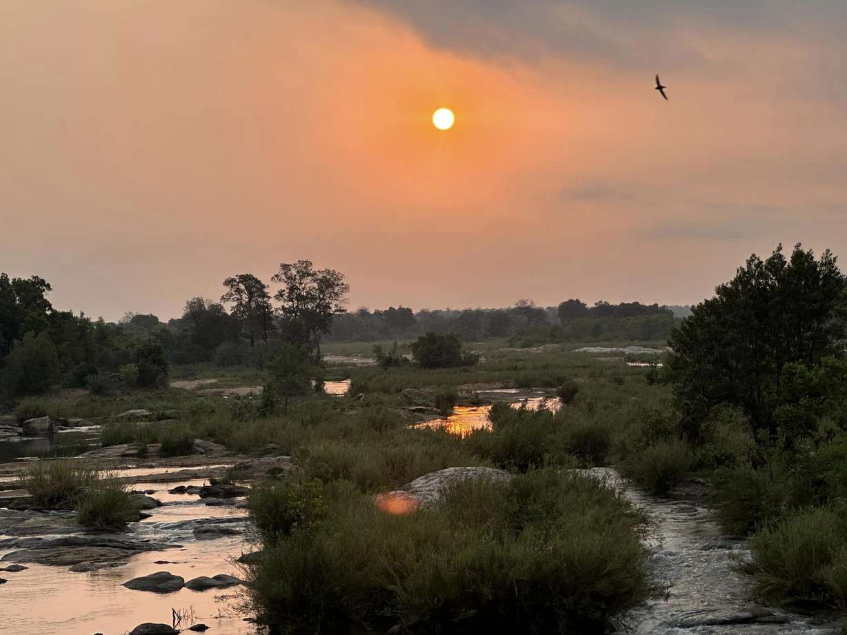 Explore the African deserts with a Utah-based travel company