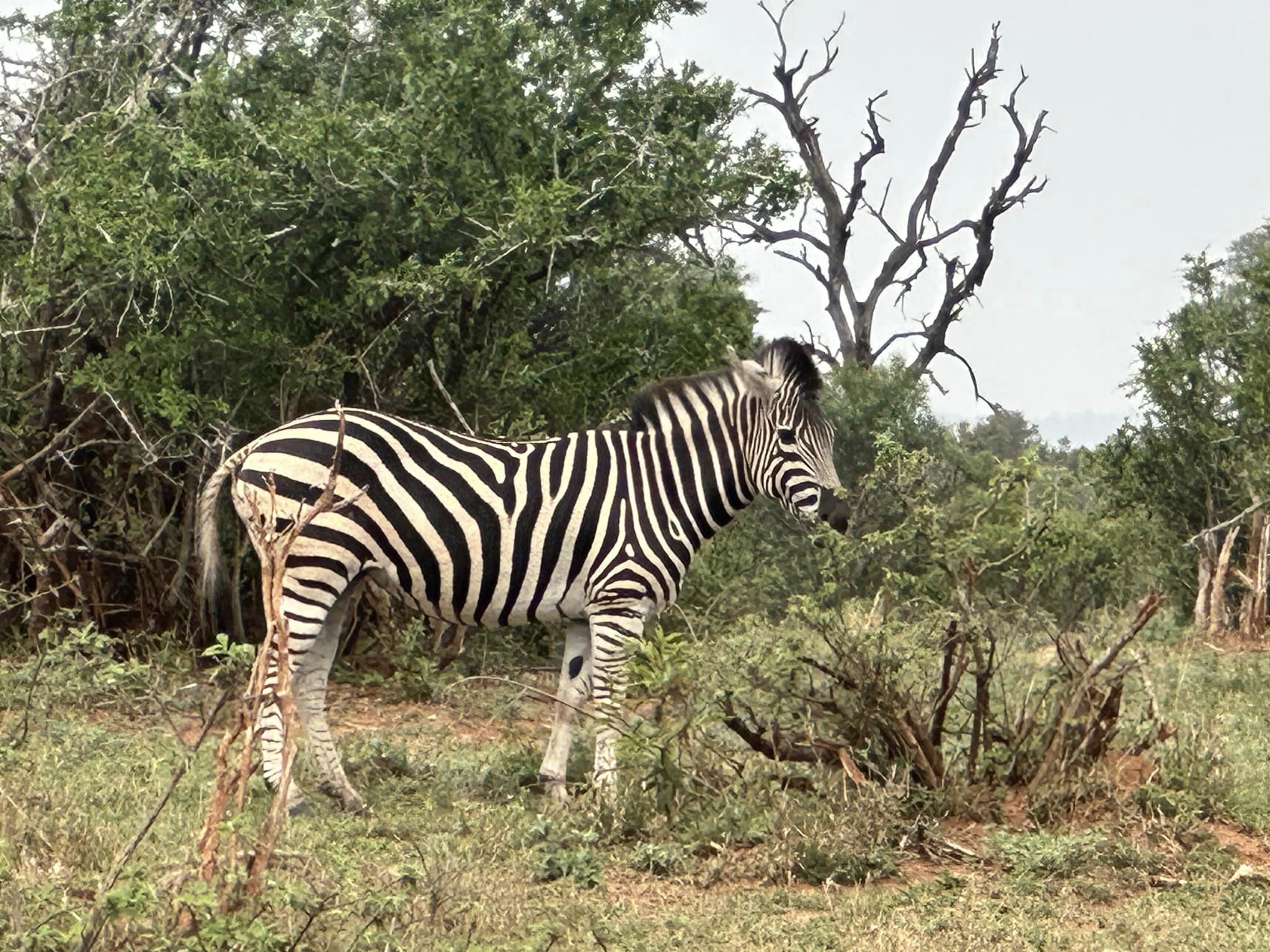 Explore the African deserts with a Utah-based travel company