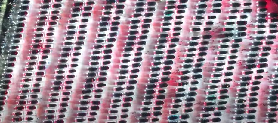 A total of 687 Six hundred Teslas made up this world record-breaking light show in Finland on Nov. 18.