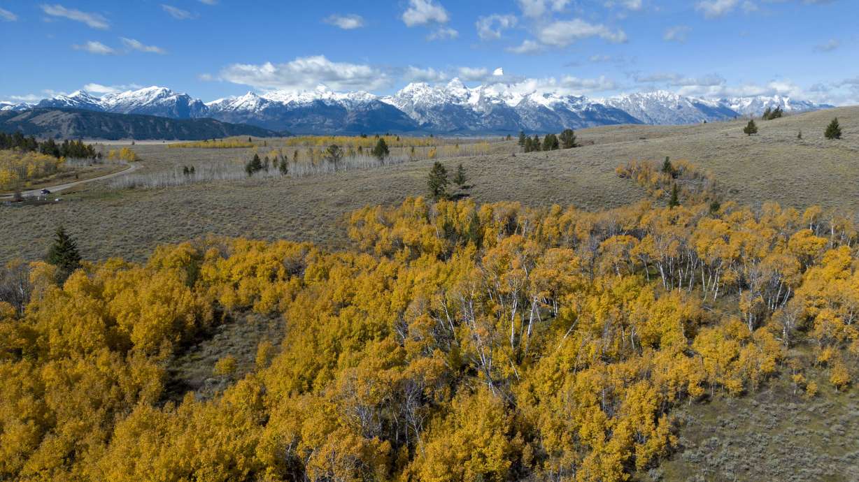 Part of a square-mile section of state land in Wyoming's Grand Teton National Park is seen, Oct. 5. The land could fetch more than $80 million in an auction.
