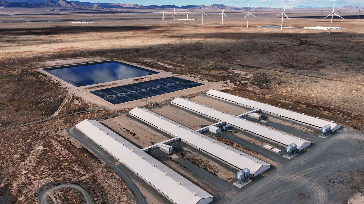 Buildings used to raise hogs owned by Smithfield Foods in Milford on Friday. Smithfield Foods is ending its relationship with more than two dozen hog farms in Beaver County.