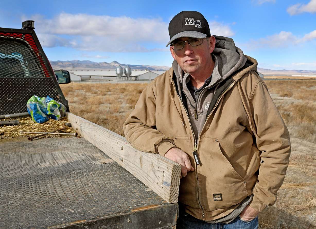 County Commissioner Brandon Yardley poses near a group of buildings used to raise hogs owned by Smithfield Foods in Milford on Friday. Smithfield Foods is ending its relationship with more than two dozen hog farms in Beaver County. Hog farming is the No. 1 employer in this rural area of Utah.
